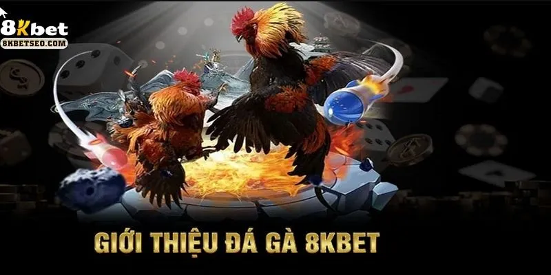 Đá gà 8KBet là gì?